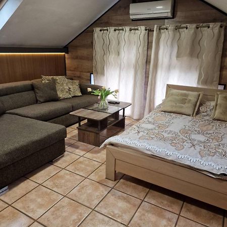 Guest House Maja ノヴィ・サド エクステリア 写真