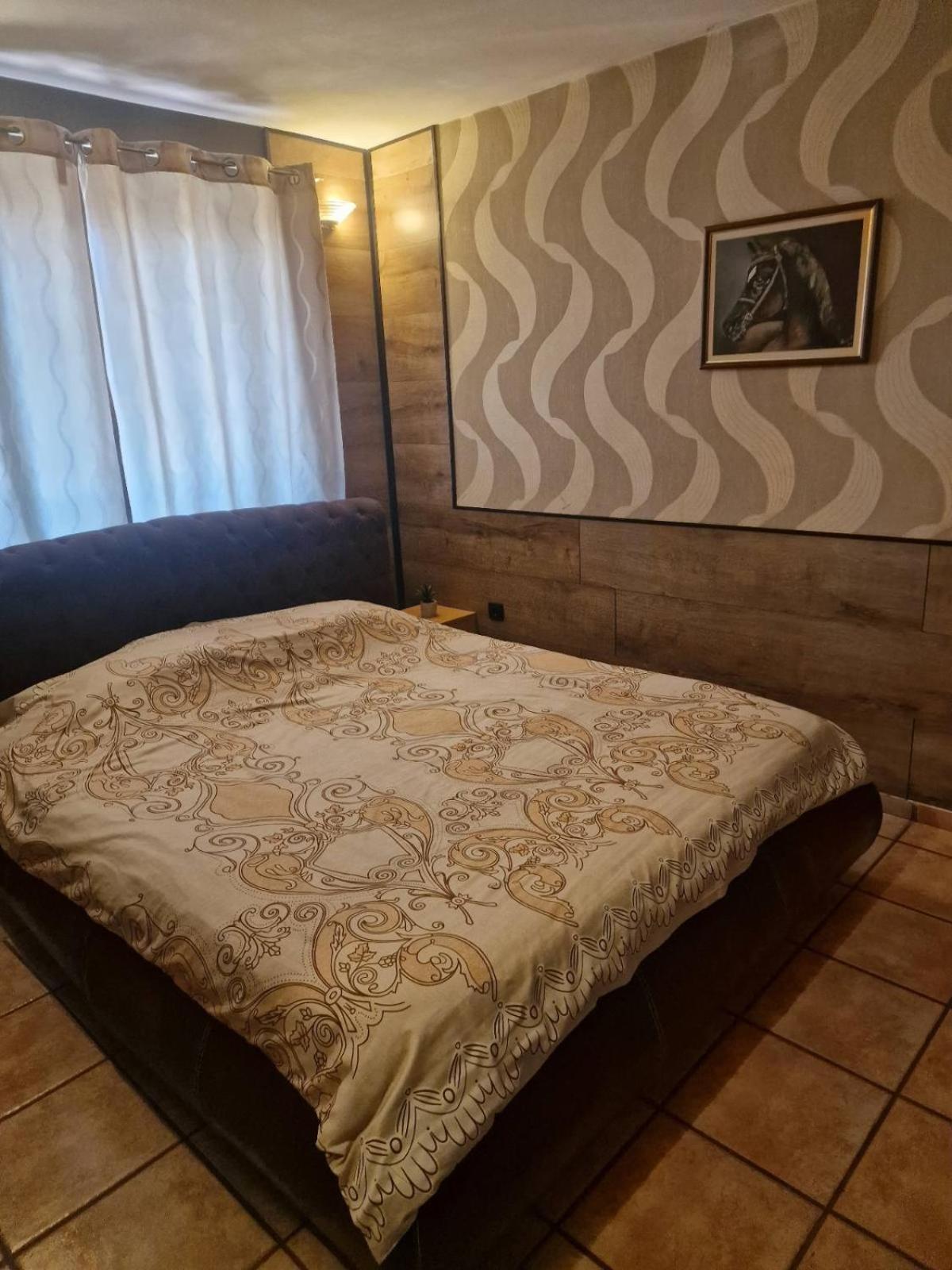 Guest House Maja ノヴィ・サド エクステリア 写真