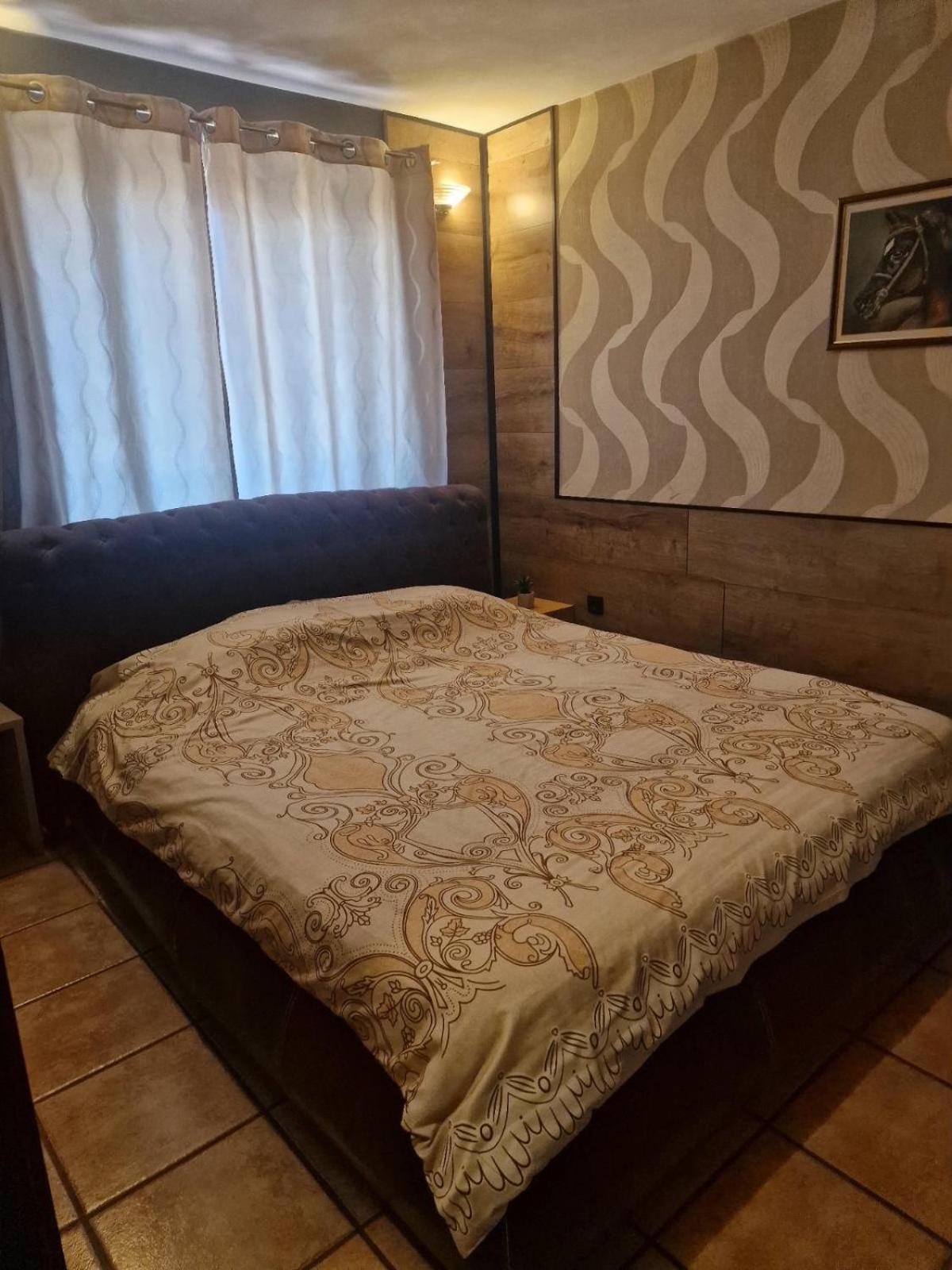Guest House Maja ノヴィ・サド エクステリア 写真